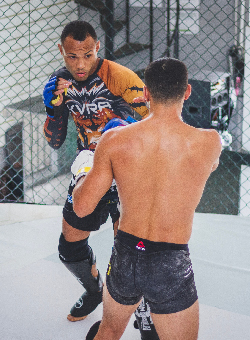 Two short haired, mixed race male fighters boxing wearing MMA gloves in a martial arts cage.